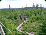 n-schwarzwald-086
