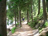 n-schwarzwald-095