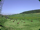 spanien-030