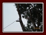 westeu17_0018