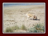 westeu17_0032