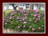 westeu17_0095