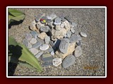 westeu17_0106