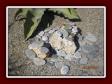 westeu17_0107