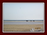 westeu17_0138