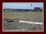 westeu17_0161