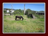 westeu17_0210