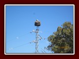 westeu17_0212