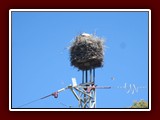 westeu17_0213