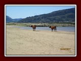 westeu17_0221
