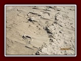 westeu17_0226