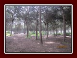 westeu17_0246