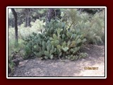 westeu17_0308