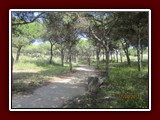 westeu17_0312