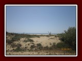 westeu17_0344