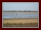 westeu17_0373