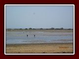 westeu17_0374