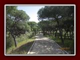 westeu17_0385
