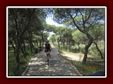 westeu17_0386