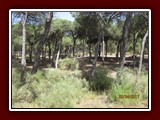 westeu17_0387