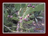 westeu17_0416