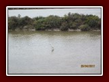 westeu17_0448