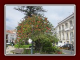 westeu17_0461