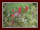 westeu17_0463