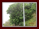 westeu17_0465