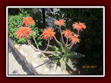 westeu17_0596