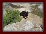westeu17_0791