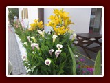 westeu17_0842