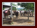 westeu17_0957