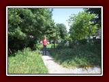 westeu17_0970
