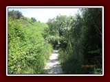westeu17_0989
