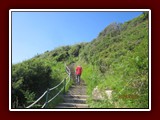 westeu17_1025