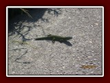 westeu17_1032
