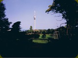 Wien-13