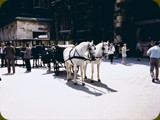 Wien-55