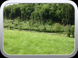 DSCN0566