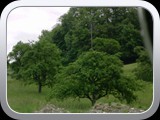 DSCN0582