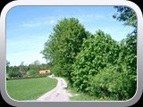 maibaum07-170