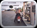 HONDA13