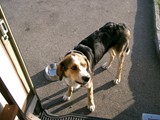 22.5.09-neuswastein 094