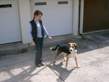 wfs-8.5.09-brigels 001