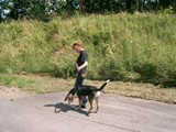hundeschule-07