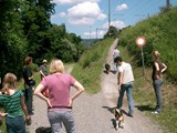 hundeschule-08