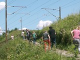 hundeschule-10