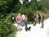 hundeschule-14