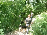 hundeschule-15